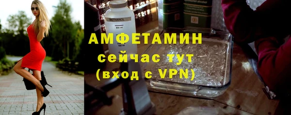прущие крисы Горняк