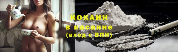 прущие крисы Горняк