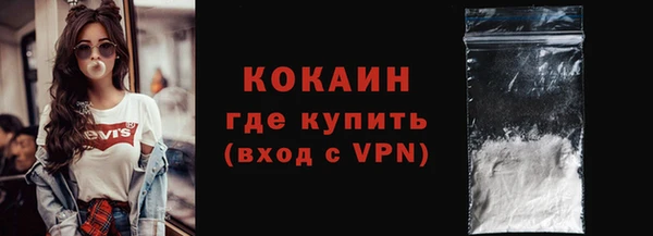 прущие крисы Горняк
