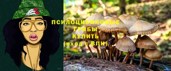 наркотики Горнозаводск