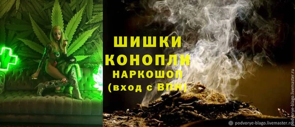 прущие крисы Горняк