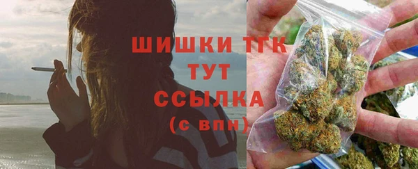 прущие крисы Горняк