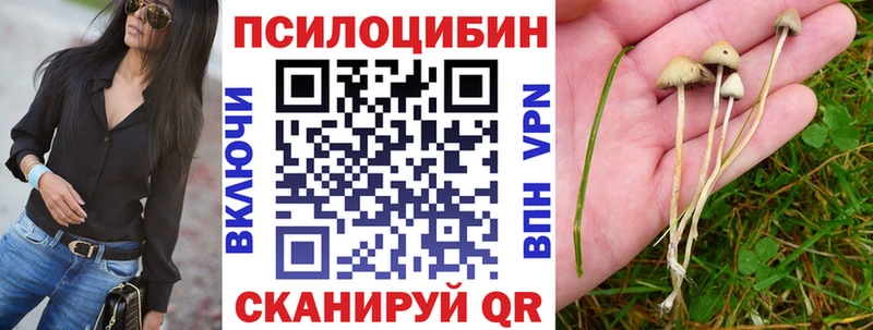 Купить закладки  Печоры  Псилоцибиновые грибы Magic Shrooms 
